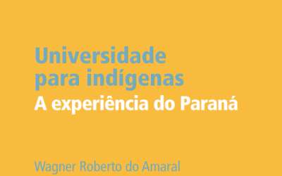 Universidade para indígenas: a experiência do Paraná